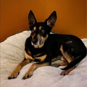 Meet your Posher, Aubrey